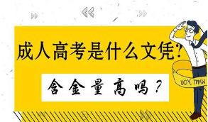 2021年成人高考哪些專業(yè)對口公務(wù)員考試呢？