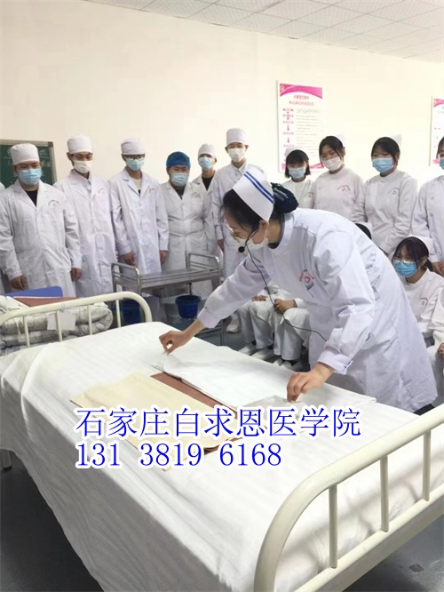 河北對(duì)口高考和對(duì)口單招有什么不同？