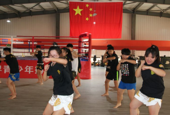 石家莊開設體育專業(yè)、武術專業(yè)的學校
